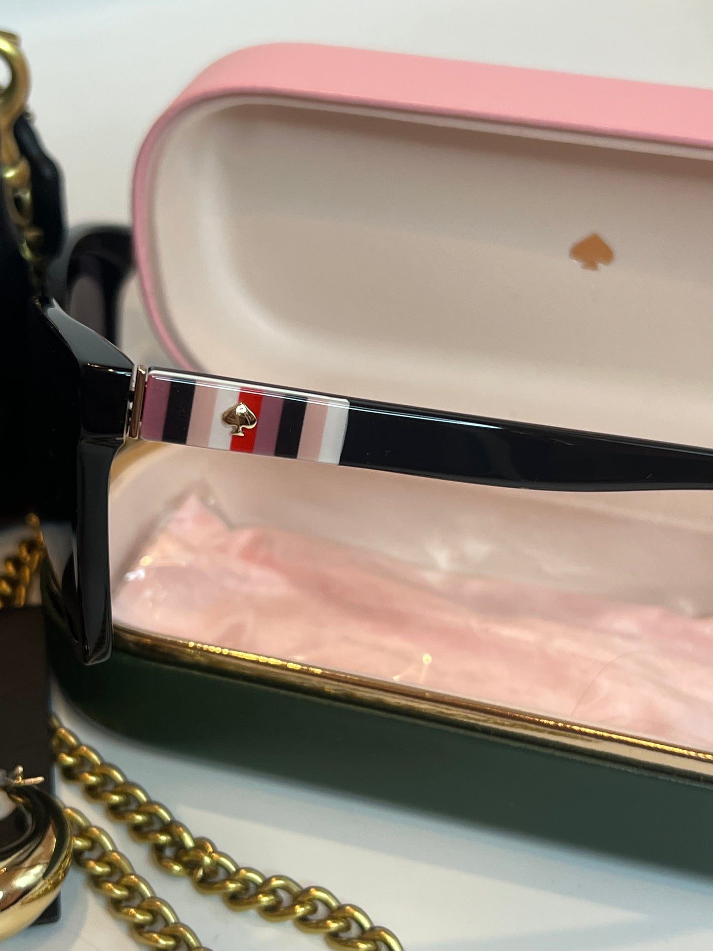 Coach tabby icon bundle